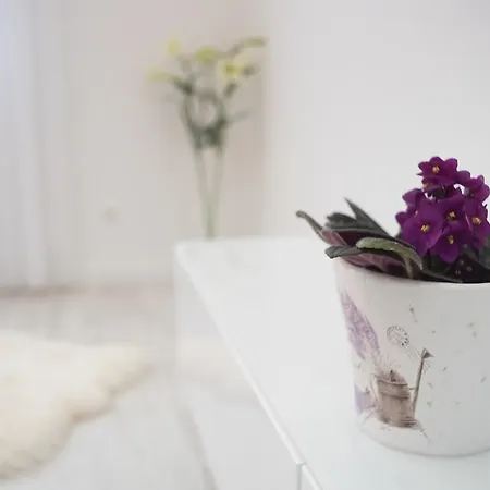 Sofia Budapešť